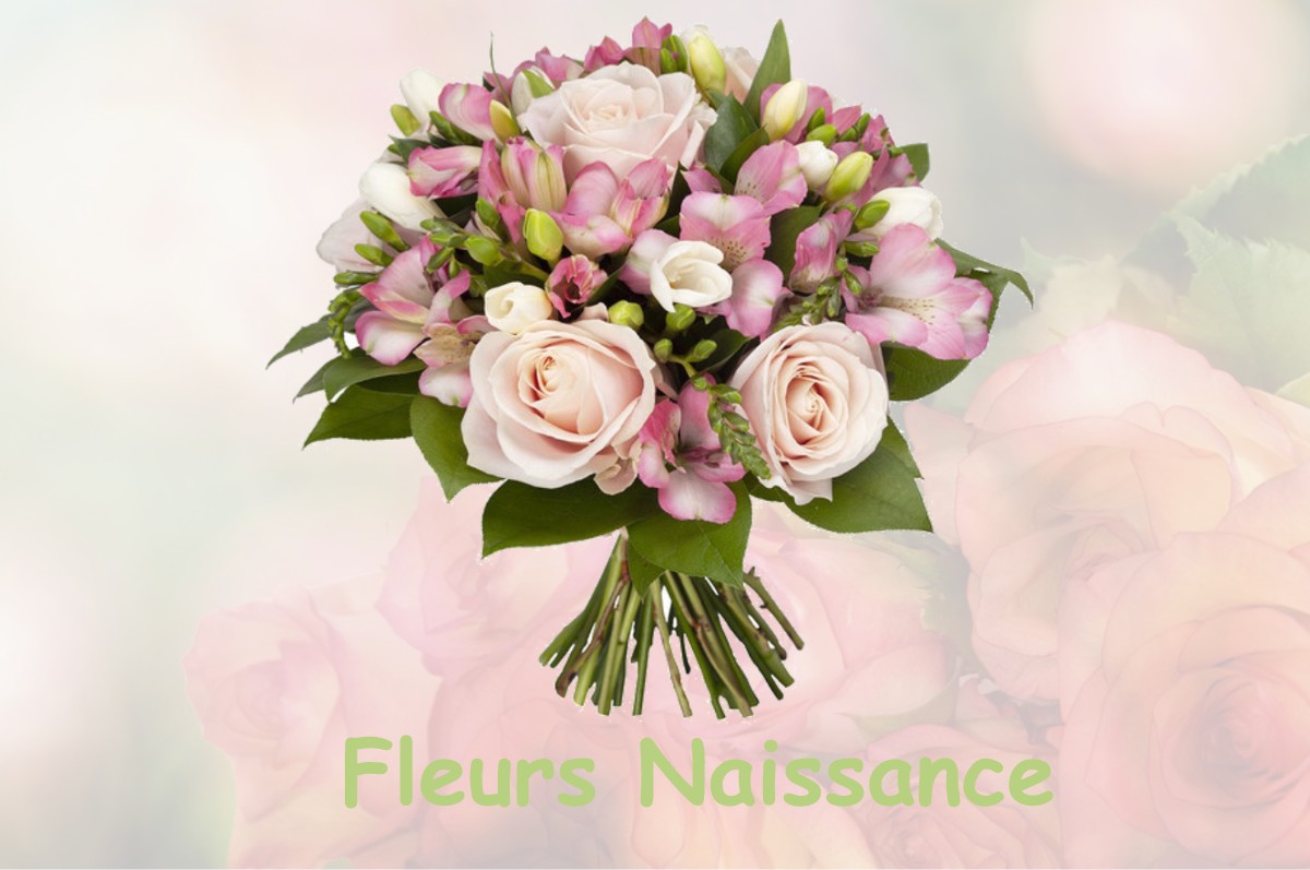 fleurs naissance NANCUISE