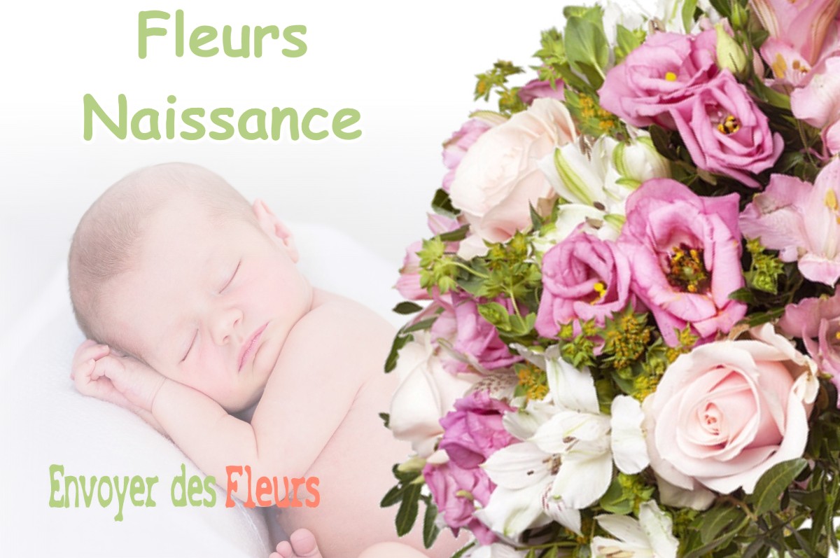 lIVRAISON FLEURS NAISSANCE à NANCUISE